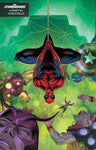 Groot 2 Martin Coccolo Stormbreakers Variant