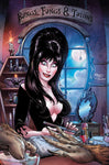 Elvira In Monsterland #3 Cover J Royle Limited Virgin