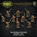 Hordes: Skorne Praetorian Keltarii/Swordsmen Unit (Plastic)
